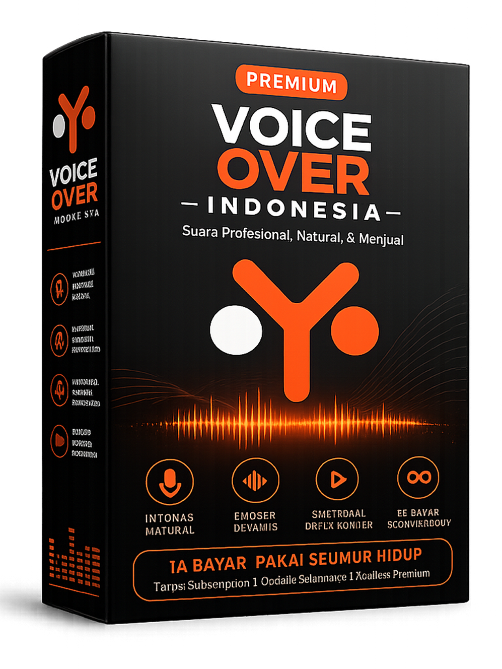 Voice Over